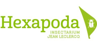 hexapoda